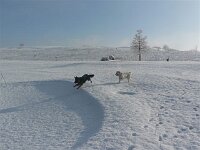 Gamma  Bes.: Renata Eggenberger