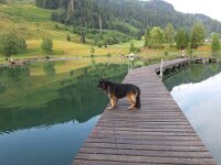 Ares