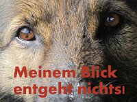 Heiko