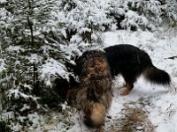 Heiko