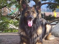 Heiko : 20