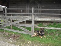 Heiko