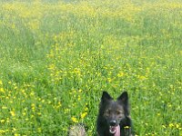 Heiko und Kyro