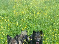 Heiko und Kyro