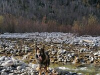 Heiko