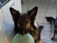 Heiko