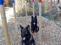 Heiko : diverses
