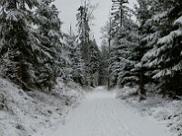 wunderschön