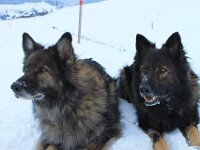 Heiko und Kyro