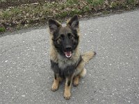 Heiko
