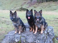 Juna, Kyro und Heiko