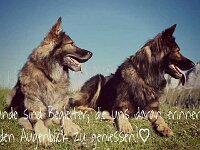 Heiko und Kyro