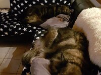 Heiko und Kyro