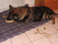 Heiko : hundefun