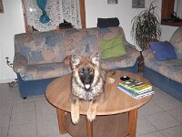 Heiko