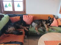 Heiko : na ja ohne worte