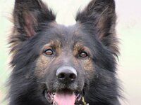 Iron  Bes.: Astrid Schibli