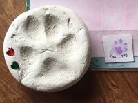 Iron  erster und letzter Lebenstag