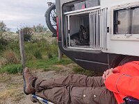 Shani  Bes.: Silke Stech