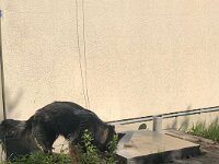 Ishani  Punktgenaue Anzeige an einem Schachtdeckel