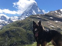 Shani