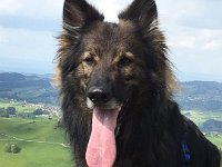 Shani