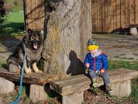 Kyro  Bes.: Petra Roth