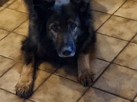 Kyros 11. Geburtstag