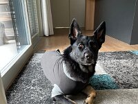 Macha  Bes.: Jacqueline Kellenberger