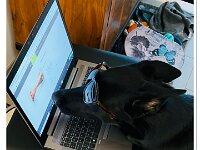 Macha  im Internet bestellen ist schon cool :-)