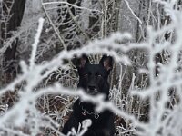 Macha  Bes.: Jacqueline Kellenberger