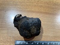 erster gefundenerTrüffel