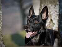 Macha  Bes.: Jacqueline Kellenberger