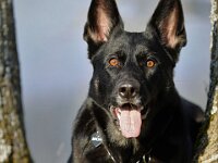 Macha  Bes.: Jacqueline Kellenberger