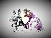 Macha  Jacqueline und ihre Macha