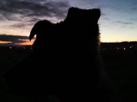 Majesty
