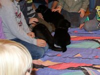 Ausflug in den Kindergarten