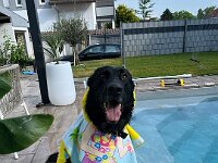 Mexx  Bes.: Anja Mannsbart