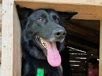 Mexx  Bes.: Anja Mannsbart