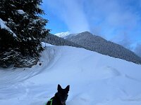 Mexx  Bes.: Anja Mannsbart