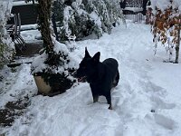 Mexx  Bes.: Anja Mannsbart