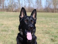 Mexx  Bes.: Anja Mannsbart