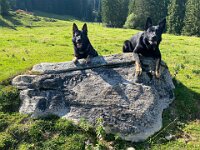 Dea und Mexx  Bes.: Anja Mannsbart