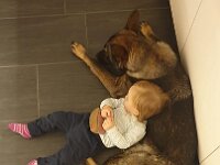 Brave und Luana