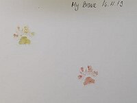My Brave