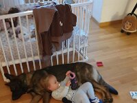 Brave am Babysitten