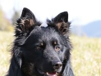 Yari  Bes.: Tajana Müller und Simon Frei