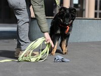 Mantrailing  Bes.: Tajana Müller und Simon Frei