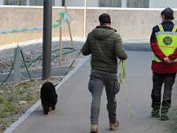 Mantrailing  Bes.: Tajana Müller und Simon Frei