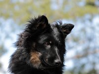 Yari  Bes.: Tajana Müller und Simon Frei